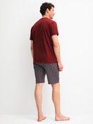 Herren-Model trägt Kurz-Pyjama aus 100% Baumwolle in Rot, Gestreift aus Serie Cotton Special von CALIDA, Rückansicht