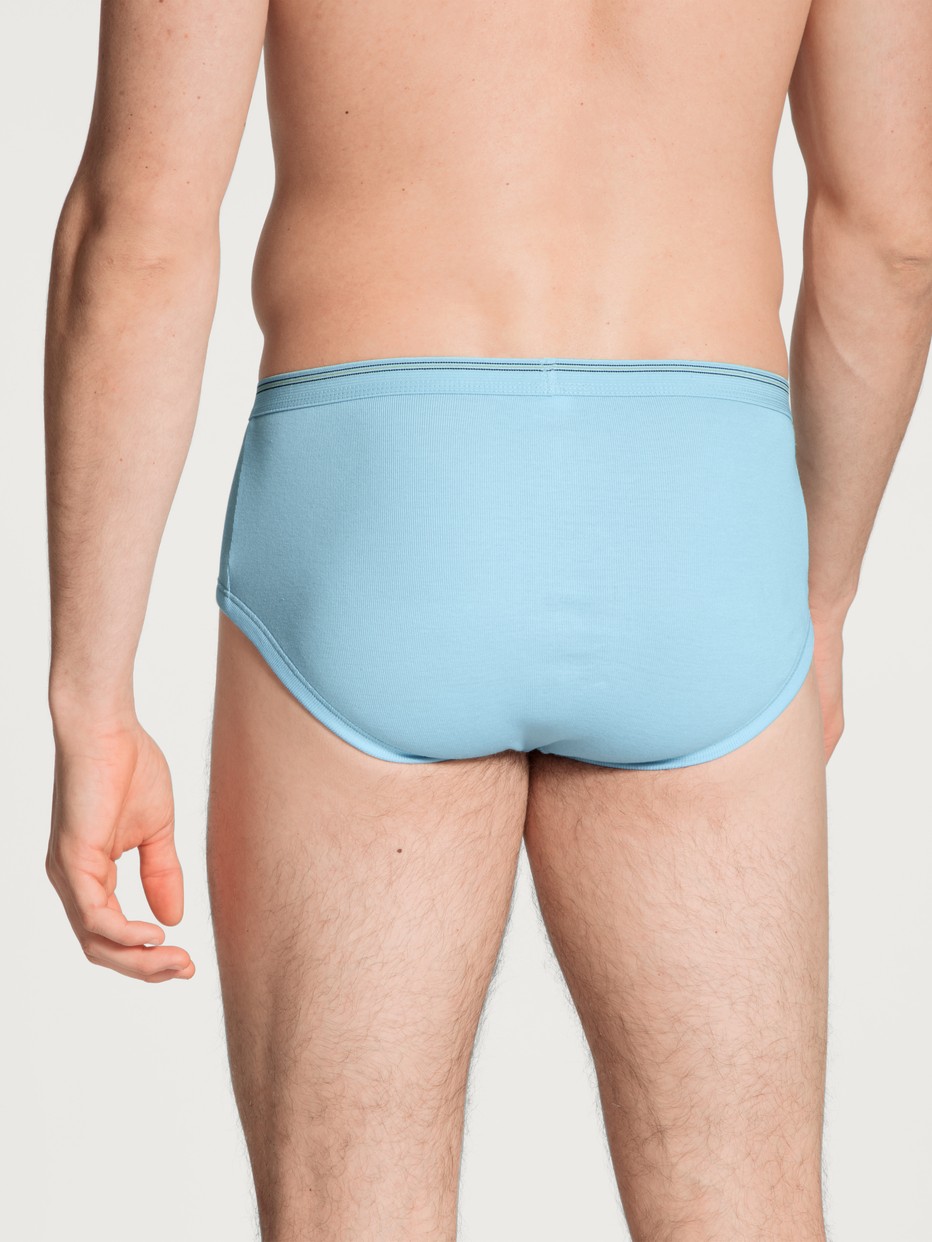Classic brief with fly