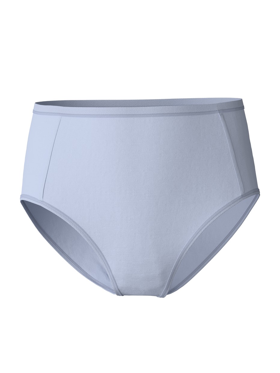 Brief