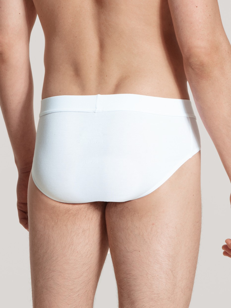 Brief
