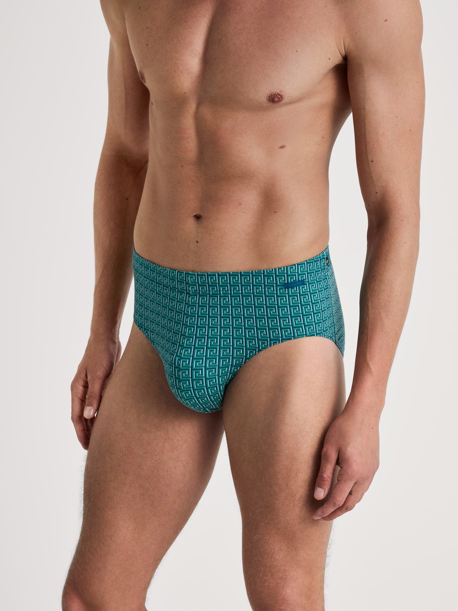 Brief