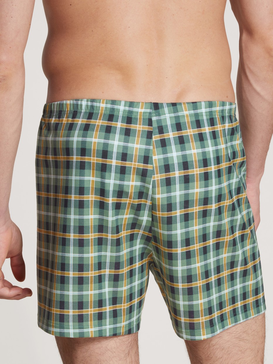 Men model is wearing Boxer shorts made of 100% Cotton in Green, Checked from the Daywear Xtra series by CALIDA, Back view