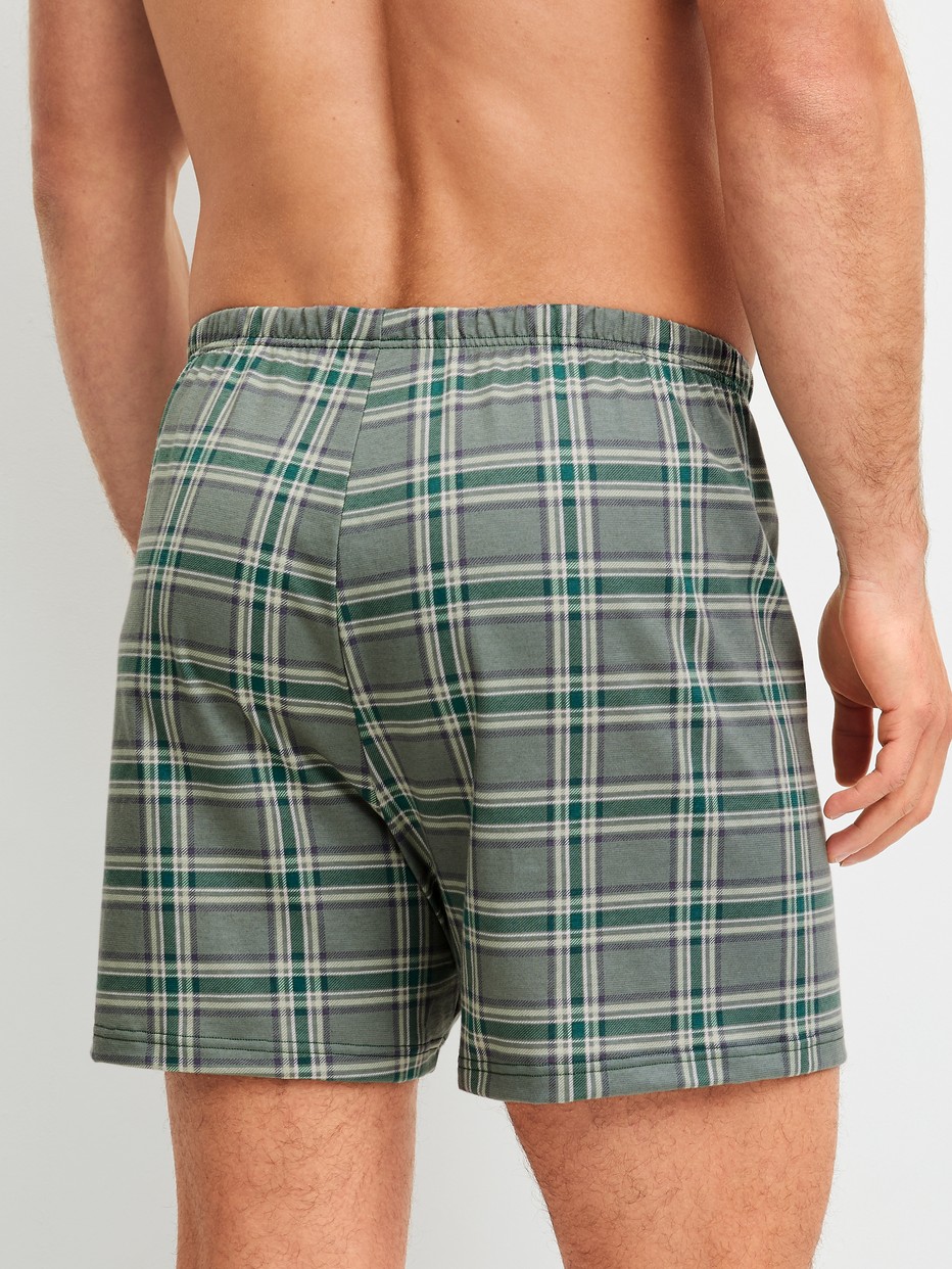 Men model is wearing Boxer shorts made of 100% Cotton in Green, Checked from the Prints series by CALIDA, Back view