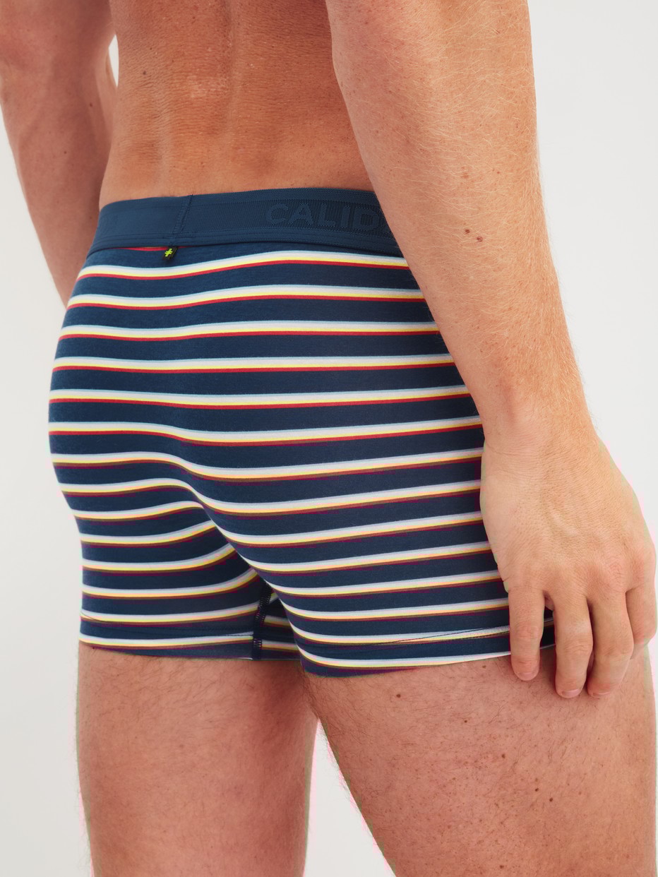 Men model is wearing Boxer brief made of Lyocell in Blue, Striped from the Focus Trend series by CALIDA, Back view