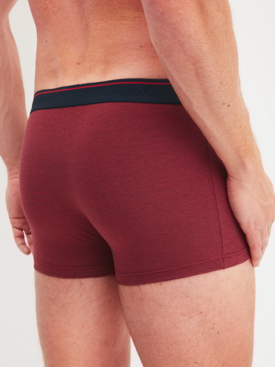 Le mannequin Homme porte le/la Boxer brief en Coton de couleur Rouge, Unicolore, de la série Cotton Stretch de CALIDA, Vue arrière