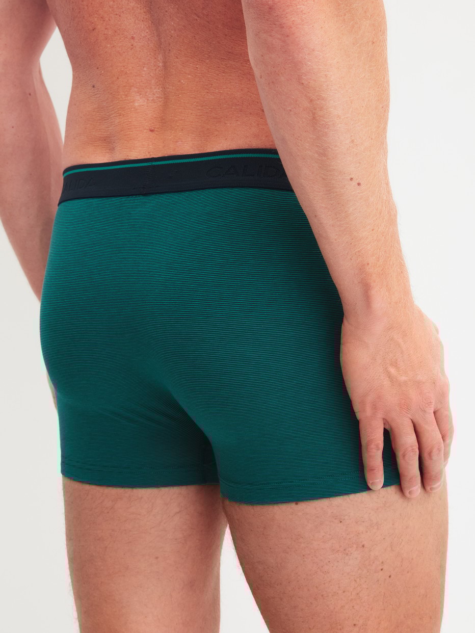 Le mannequin Homme porte le/la Boxer brief en Coton de couleur Vert, Unicolore, de la série Cotton Stretch de CALIDA, Vue arrière