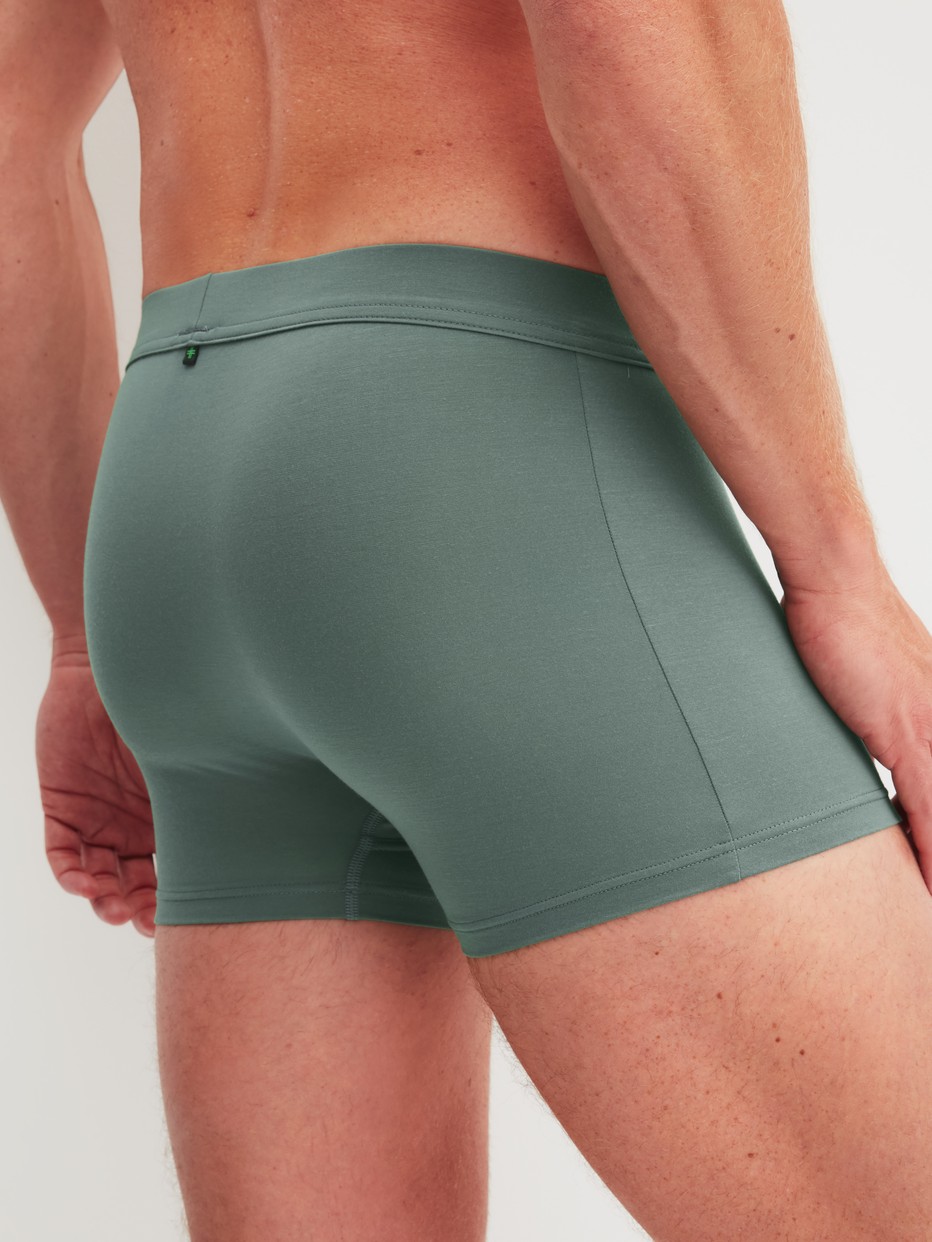 Herren-Model trägt Boxer Brief mit Quick Dry Effekt aus Modal in Grün, Einfarbig aus Serie Balanced Day von CALIDA, Rückansicht