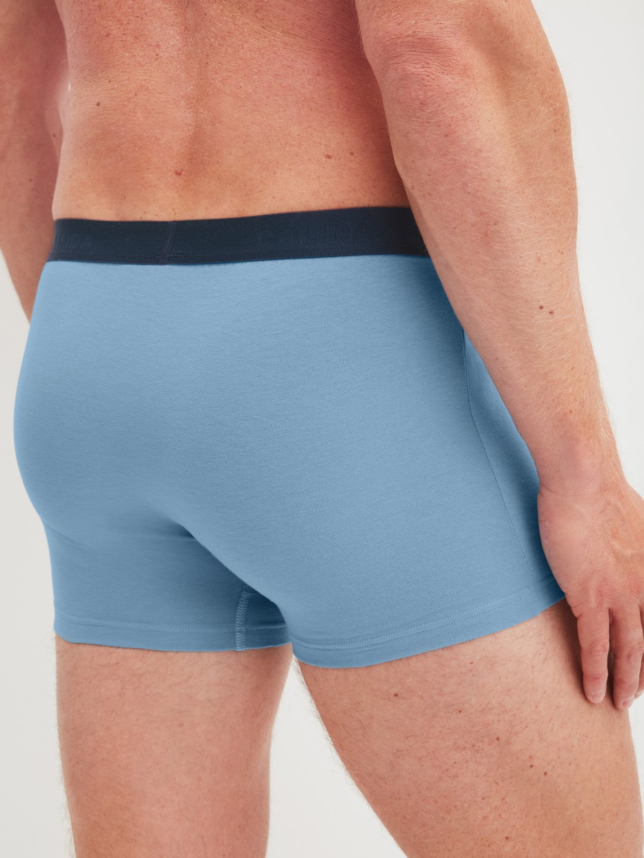 Men model is wearing Boxer brief, 3-pack made of Cotton in Blue,  from the Cotton Special series by CALIDA, Back view