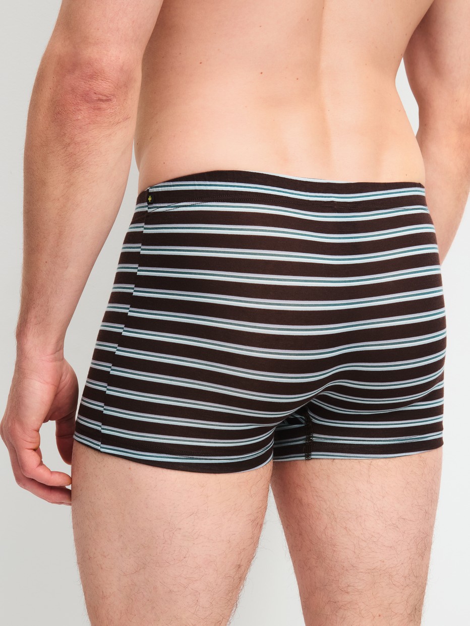 Men model is wearing Boxer brief made of Lyocell in Brown, Striped from the Focus Trend series by CALIDA, Back view