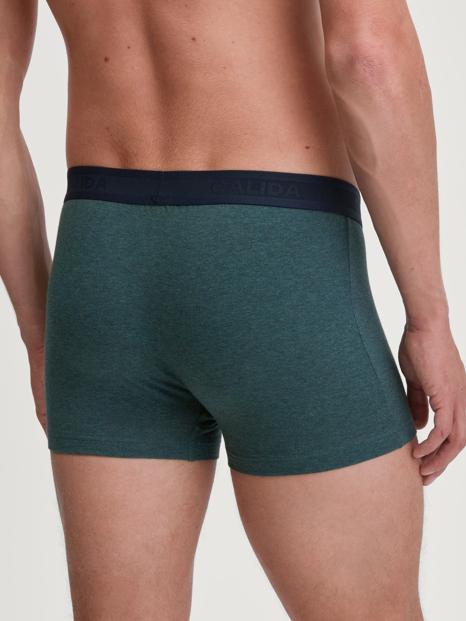 Herren-Model trägt Boxer Brief mit Softgummibund aus Baumwolle in Grün, Einfarbig aus Serie Cotton Sporty von CALIDA, Rückansicht