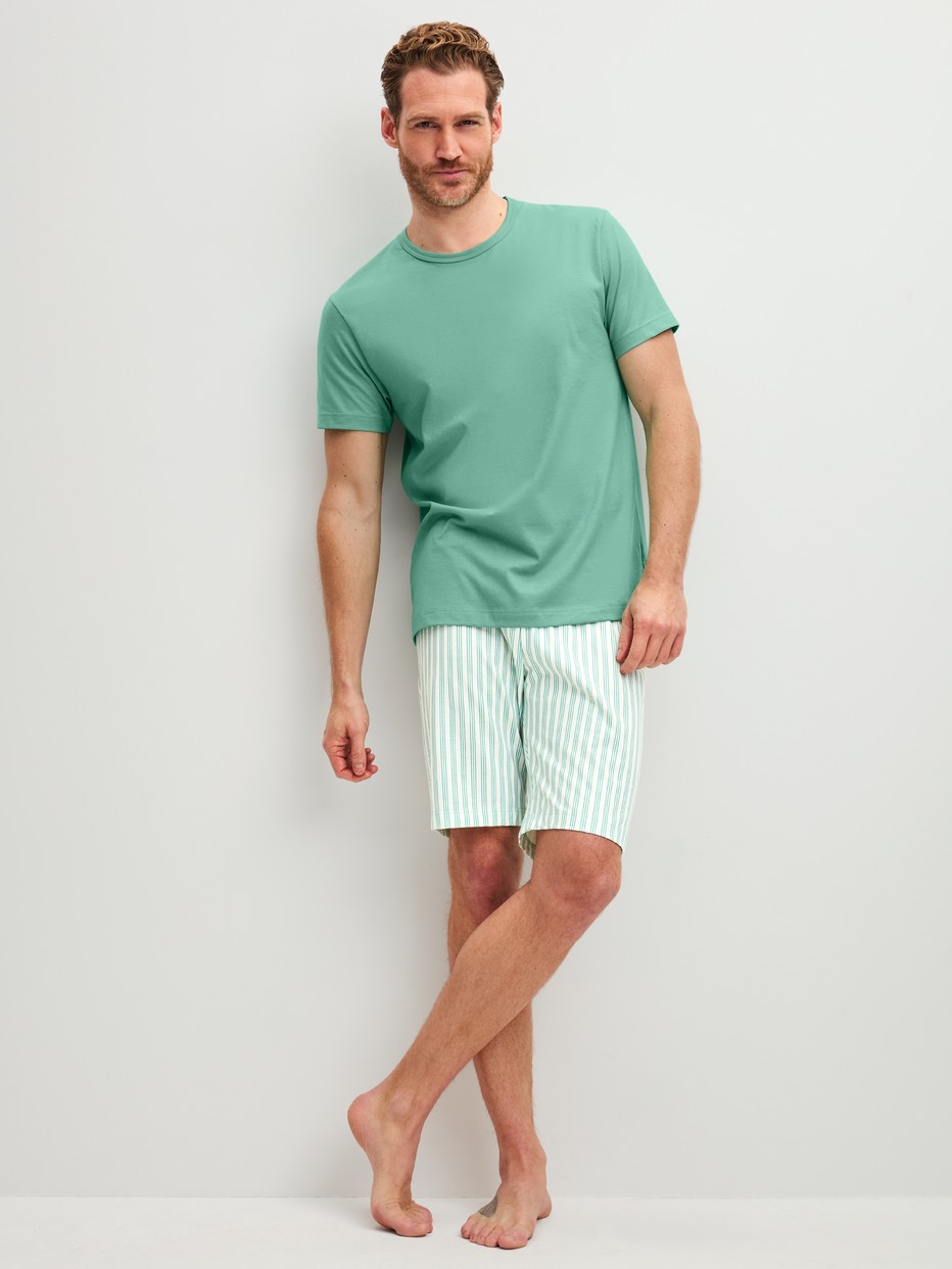 Men model is wearing Short pyjama made of 100% Cotton in Green, Striped from the Relax Easter series by CALIDA, Front view