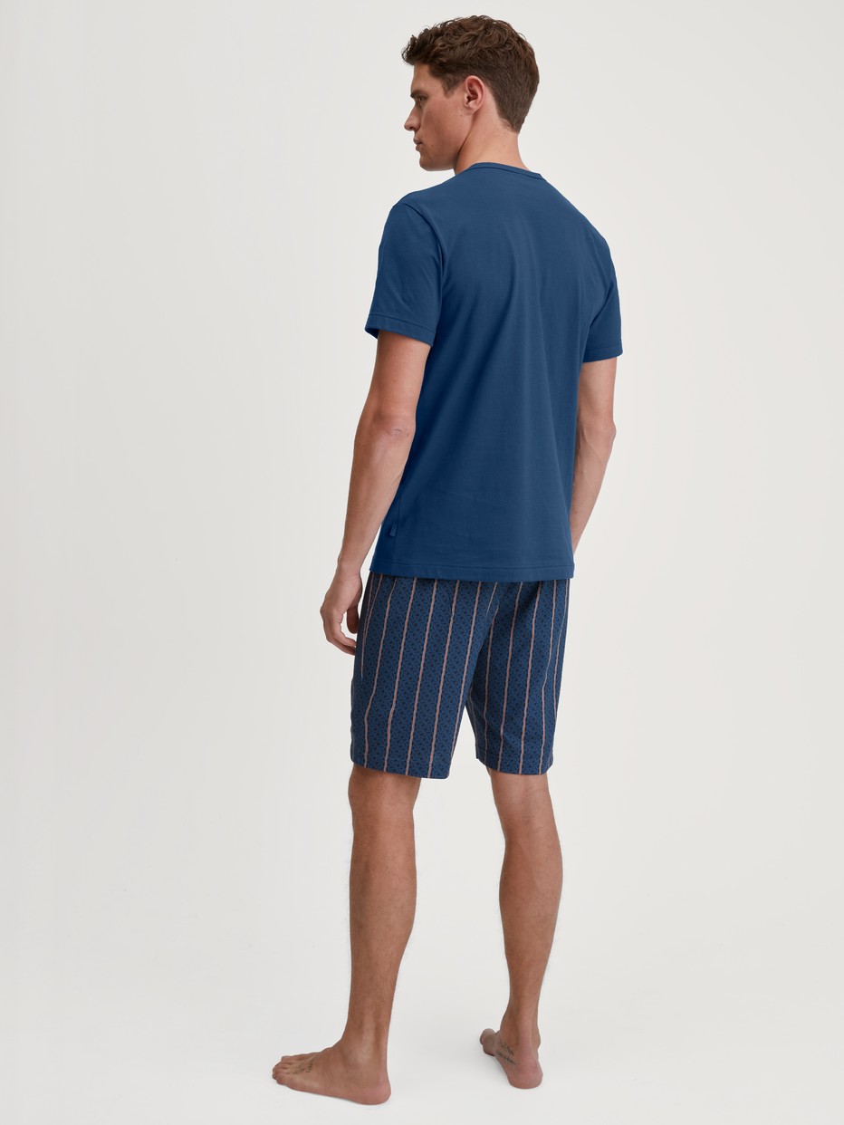 Herren-Model trägt Kurz-Pyjama aus 100% Baumwolle in Blau, Gestreift aus Serie Relax Imprint 1 von CALIDA, Rückansicht